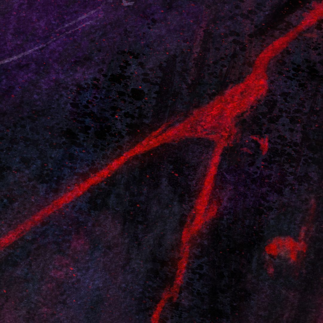 Spirit Jumper Artwork